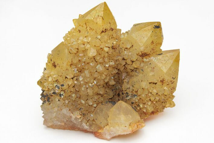 Sunshine Cactus Quartz Crystal Cluster - South Africa #212661
